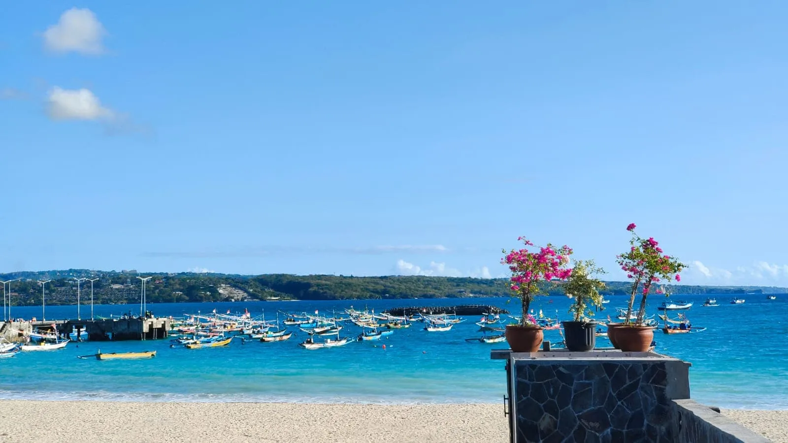 flowers and sea